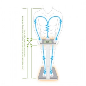 Beurer Diagnostic Bathroom Scale BF 1000